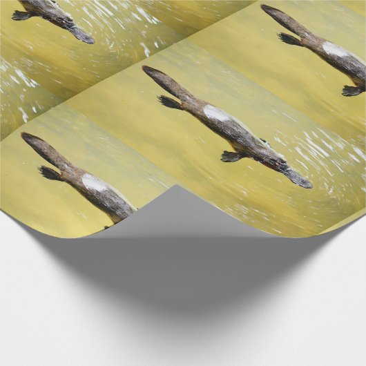 PLATYPUS AUSTRALIA WRAPPING PAPIER GESCHENKPAPIER (Ecke)