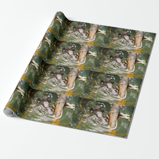 PLATYPUS AUSTRALIA WRAPPING PAPIER GESCHENKPAPIER (Ungerollt)