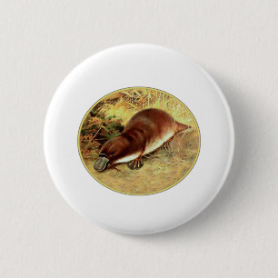 Platypus Button
