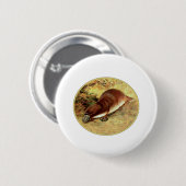 Platypus Button (Vorne & Hinten)