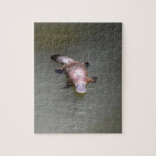 PLATYPUS EUNGELLA NATIONALPARK AUSTRALIEN PUZZLE (Vertikal)