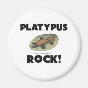 Platypus Felsen Magnet