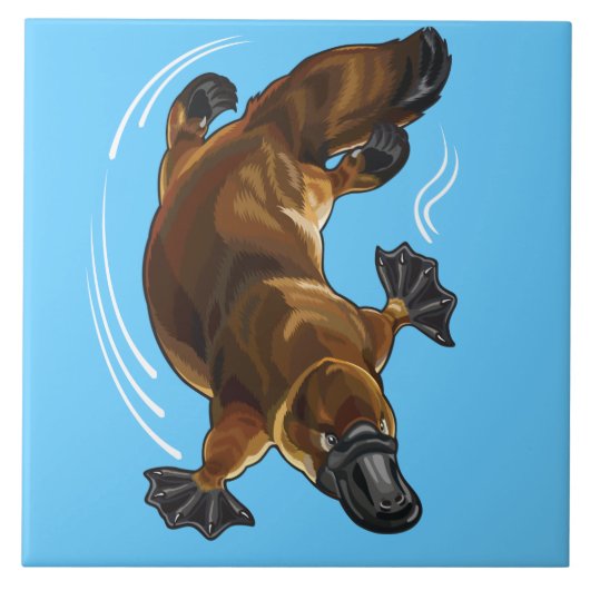 Platypus Fliese (Vorderseite)