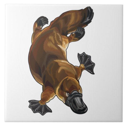 Platypus Fliese (Vorderseite)