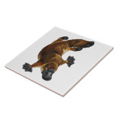 Platypus Fliese (Seite)