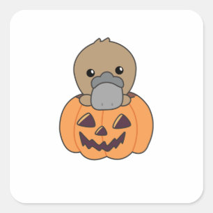 Platypus in Pumpkin Sweet Animals Happy Halloween Quadratischer Aufkleber