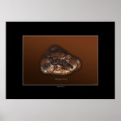 PLATYPUS PATHS Art Poster (Vorne)