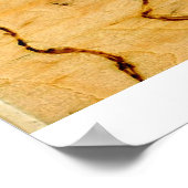 Platypus Poster (Ecke)