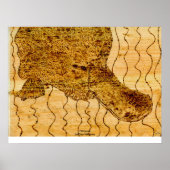 Platypus Poster (Vorne)