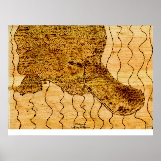 Platypus Poster (Vorne)