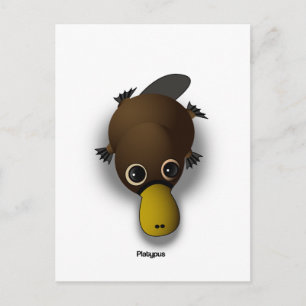 Platypus Postkarte