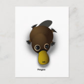 Platypus Postkarte (Vorderseite)