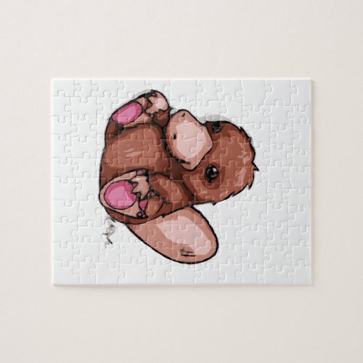 Platypus Puzzle (Horizontal)