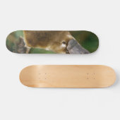 Platypus Skateboard (Horizontal)