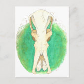 Platypus Skull Postkarte (Vorderseite)