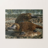 Platypuses Puzzle (Horizontal)