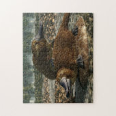 Platypuses Puzzle (Vertikal)