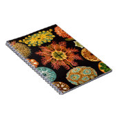 Platz des Seepuchts Notizblock (Rechte Seite)