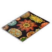 Platz des Seepuchts Notizblock (Linke Seite)