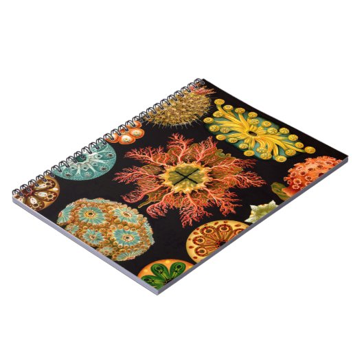 Platz des Seepuchts Notizblock (Linke Seite)