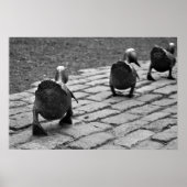 Platz für Ducklings machen Poster (Vorne)