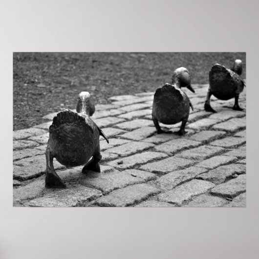 Platz für Ducklings machen Poster (Vorne)