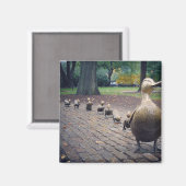 Platz machen für Ducklings Magnet (Vorderseite/Rückseite)