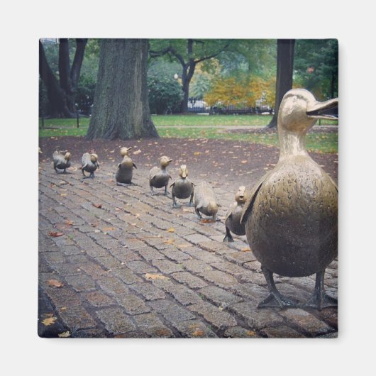 Platz machen für Ducklings Magnet (Vorne)