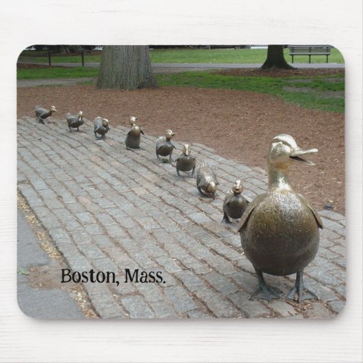Platz machen für Ducklings Mousepad (Vorne)