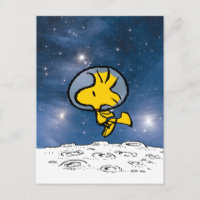PLATZ | Woodstock Astronaut