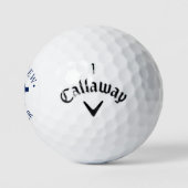 Platzanweiser Fliege Golfball (Logo)