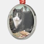 Plätzchen Silbernes Ornament (Links)