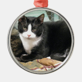 Plätzchen Silbernes Ornament