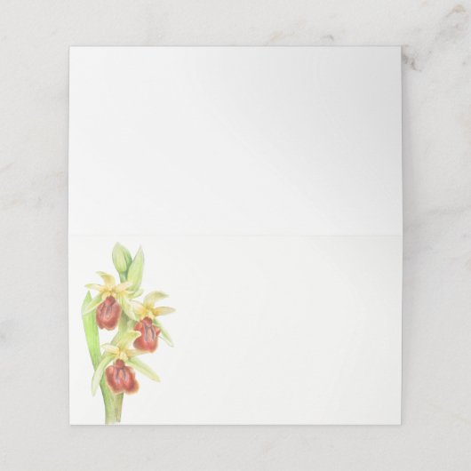 Platzkarten für Frühspinnen-Orchideen (Außenseite Aufgefaltet)