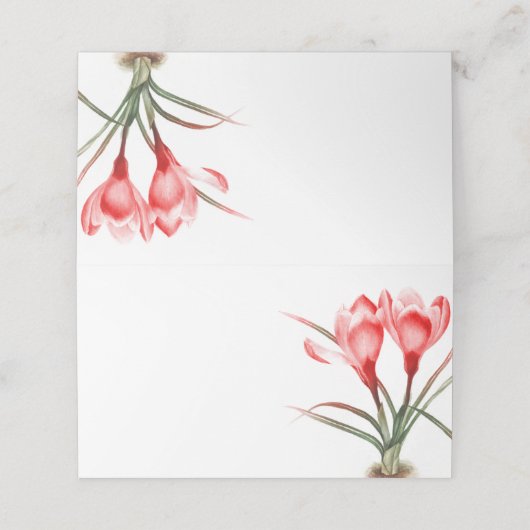 Platzkarten in Rosa Crocus Aquarellkunst (Außenseite Aufgefaltet)