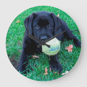 Play Ball - Labrador Puppy - Black Lab Große Wanduhr