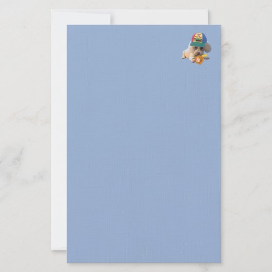 Play Ball Poodle Stationery Briefpapier (Vorderseite)