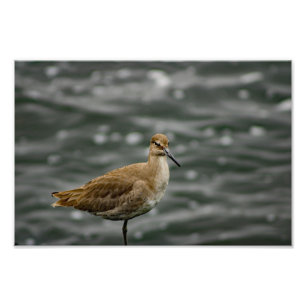 Play Del Rey Fotodruck