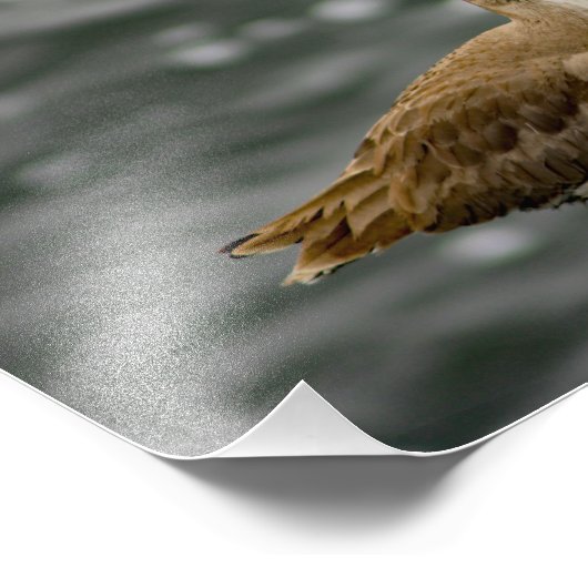 Play Del Rey Fotodruck (Ecke)