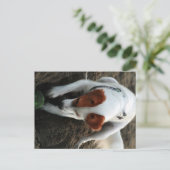 "Play Hard" Postkarte (Stehend Vorderseite)