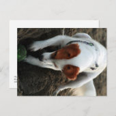 "Play Hard" Postkarte (Vorne/Hinten)