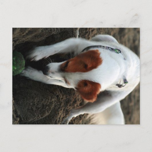 "Play Hard" Postkarte (Vorderseite)