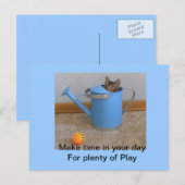 Play kitty Postcard Postkarte (Vorne/Hinten)