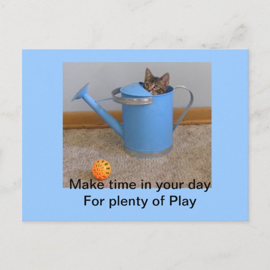 Play kitty Postcard Postkarte (Vorderseite)