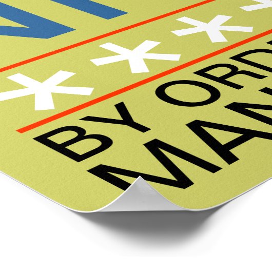 Play Nice Poster (Ecke)