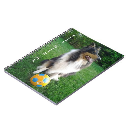 Play with me. Fußballfans. Notizblock (Linke Seite)