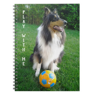 Play with me. Fußballfans. Notizblock