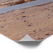 Playa de Sotavento en Fürteventura Poster (Ecke)