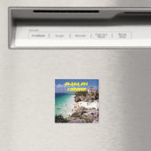 Playa Del Carmen Magnet (In Situ (Geschirrspüler))