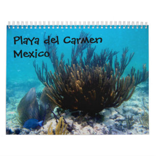Playa del Carmen, Mexiko Kalender